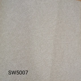  SW5007